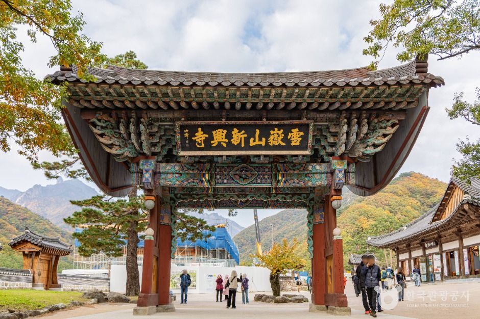 yeskids 1776544356 470 예스키즈존 탐험대 : 실패 없는 육아여행