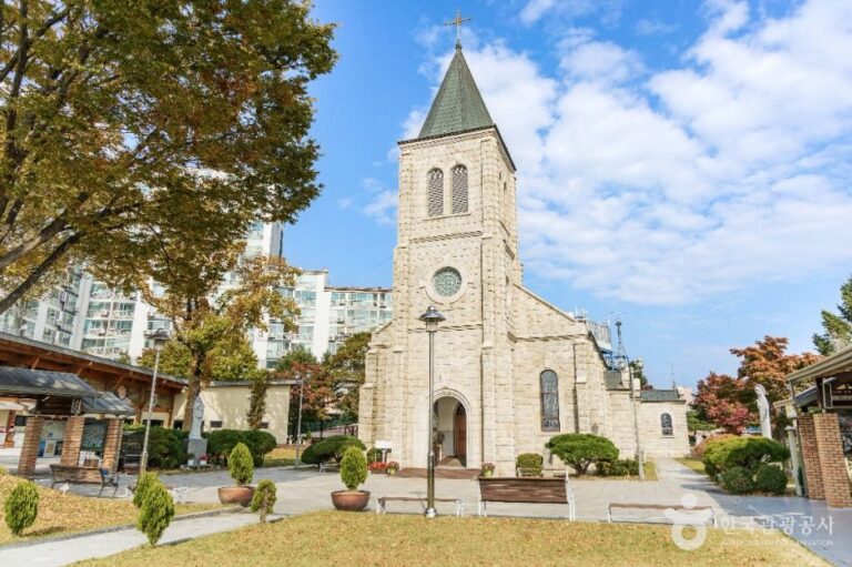 [예스키즈존] 죽림동성당