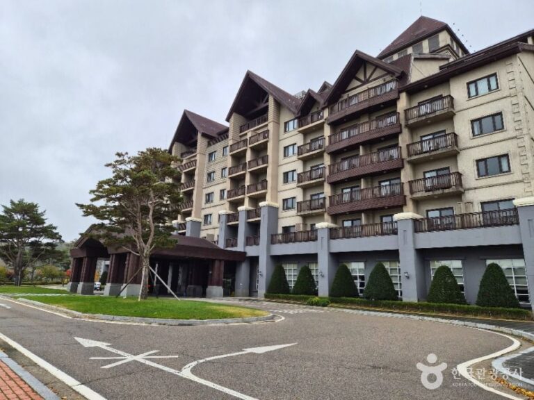 [예스키즈존] 인터컨티넨탈 알펜시아 평창 리조트