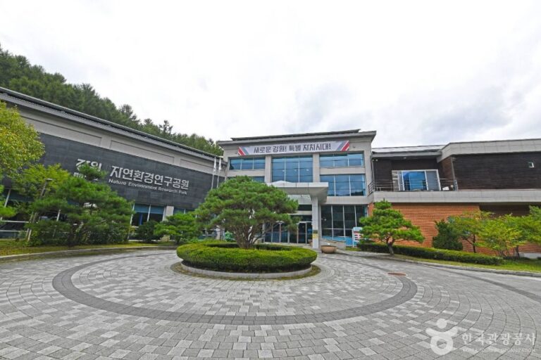 [예스키즈존] 강원특별자치도 자연환경연구공원