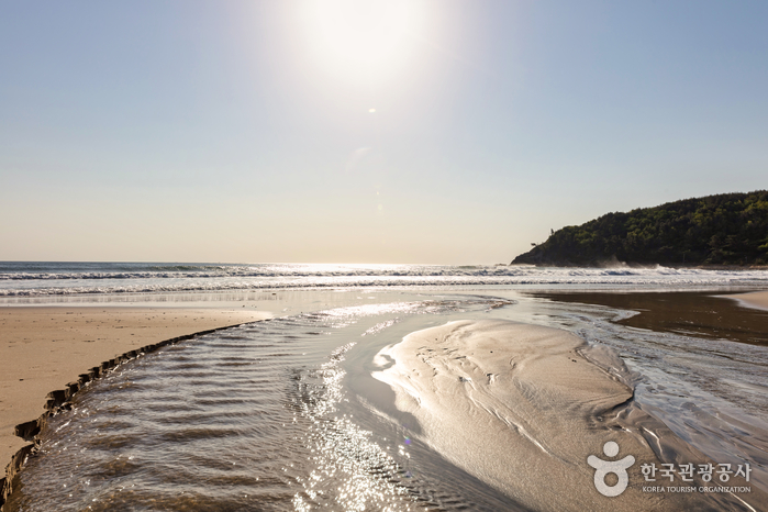 yeskids 1776544749 210 예스키즈존 탐험대 : 실패 없는 육아여행