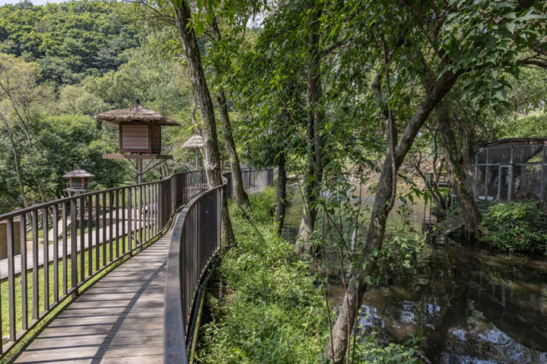[예스키즈존] 알파카월드