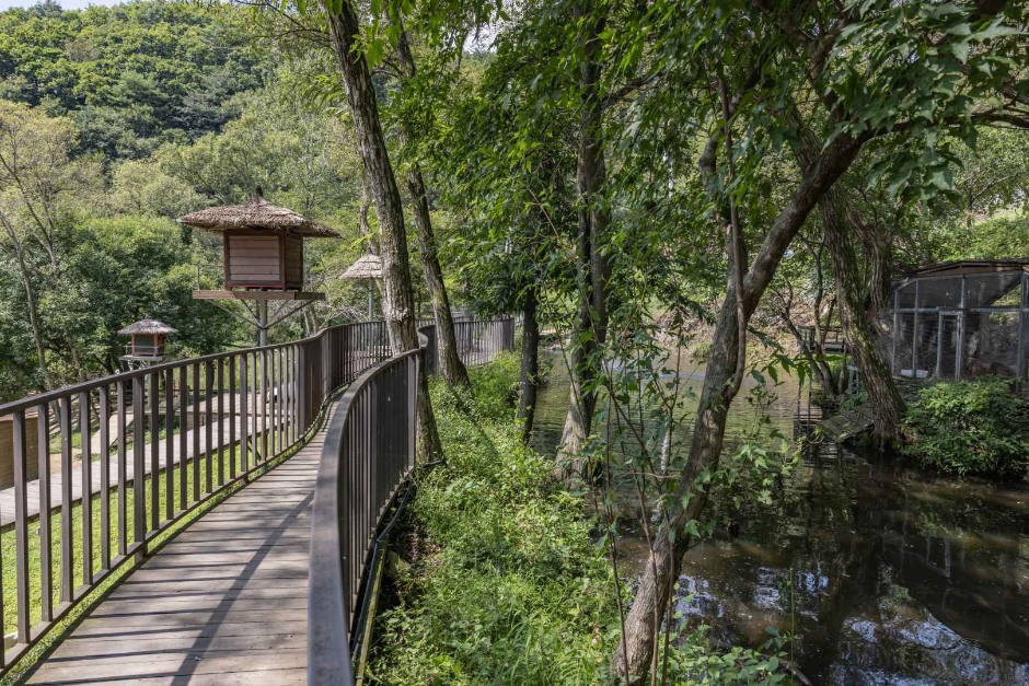 yeskids 1776544998 644 예스키즈존 탐험대 : 실패 없는 육아여행