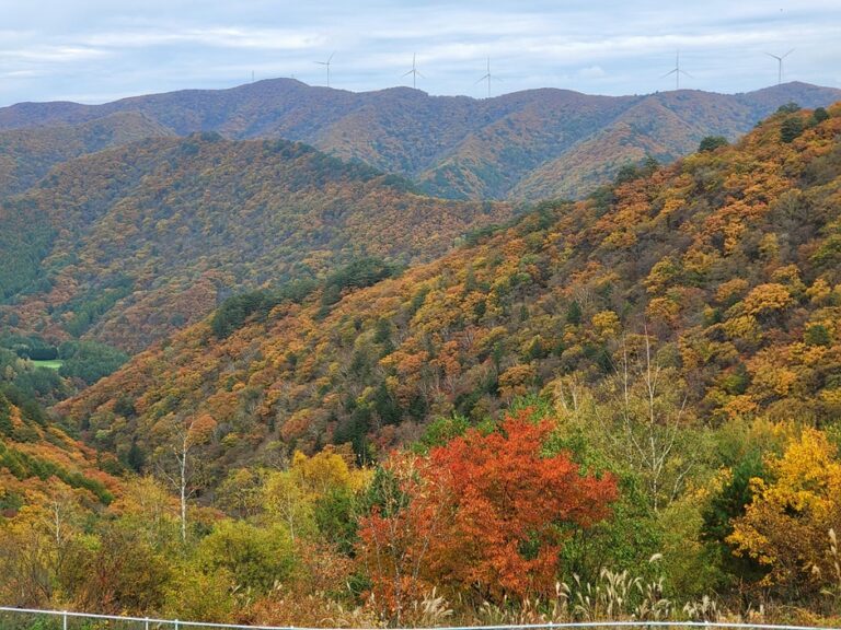 [예스키즈존] 모나용평