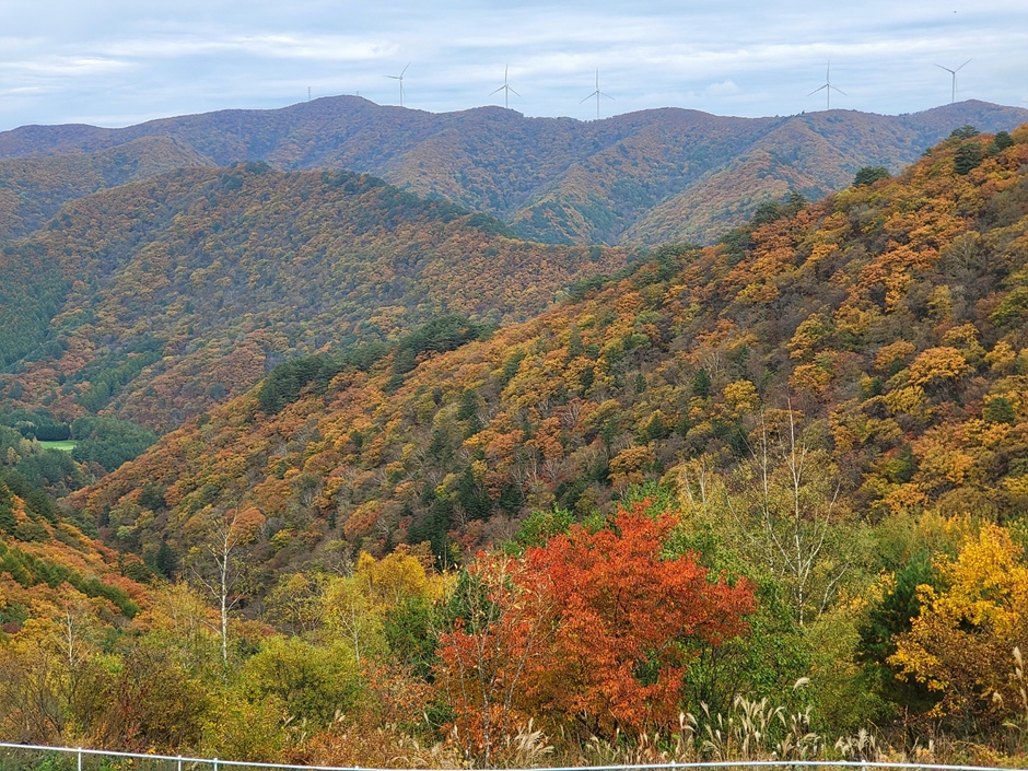 yeskids 1776545392 960 예스키즈존 탐험대 : 실패 없는 육아여행