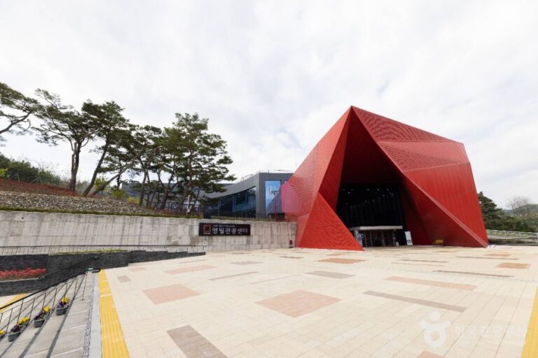 [예스키즈존] 영월관광센터