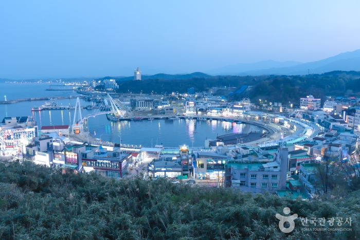 [예스키즈존] 대포항 전망대