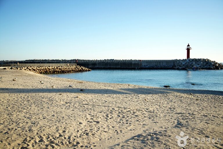 [예스키즈존] 신남해변