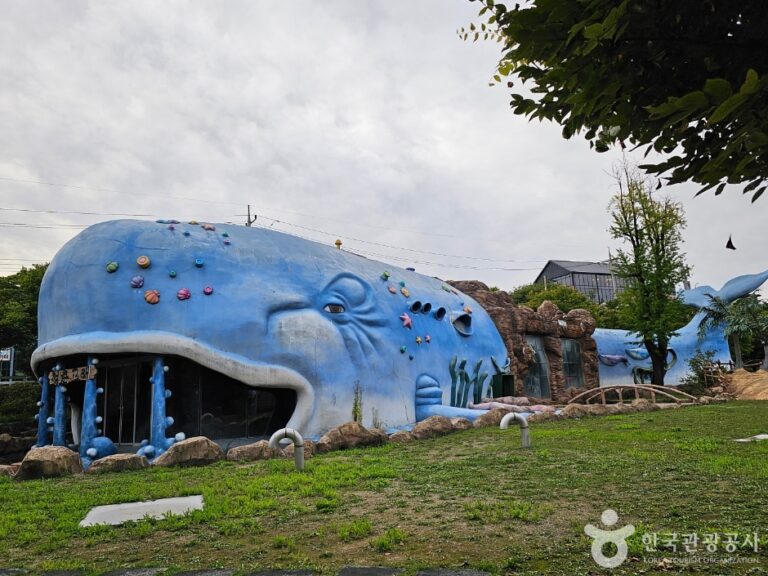 [예스키즈존] 청춘양구레포츠공원