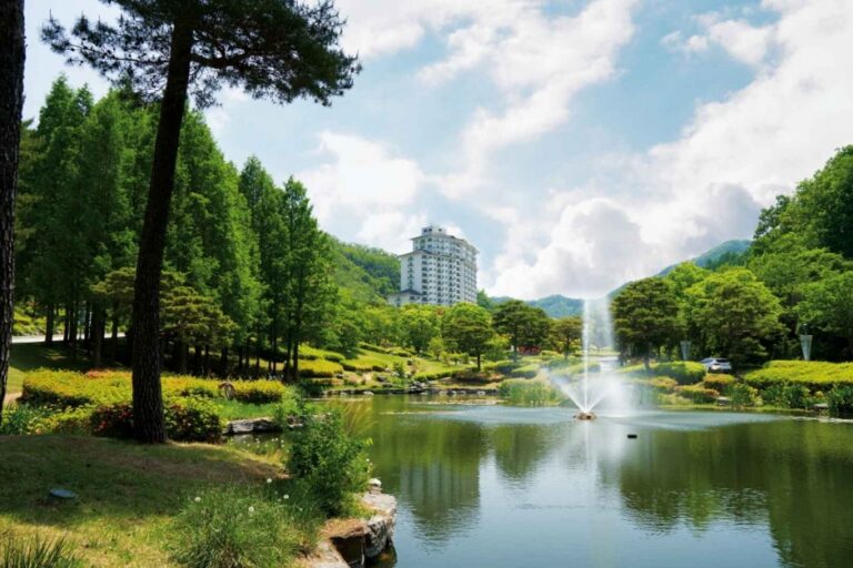 [예스키즈존] 엘리시안 강촌