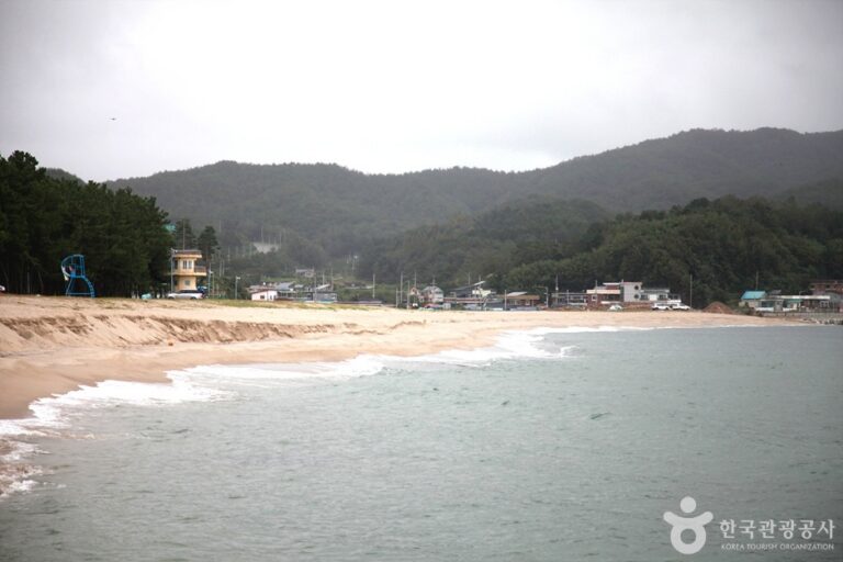 [예스키즈존] 궁촌해변(궁촌해수욕장)