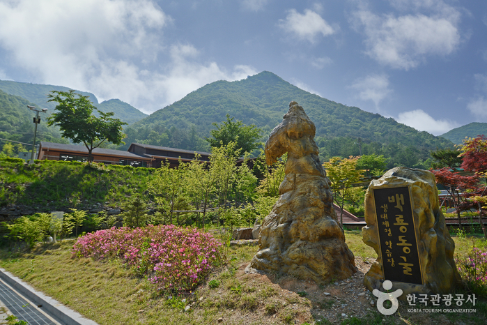 [예스키즈존] 백룡동굴 (강원고생대 국가지질공원)