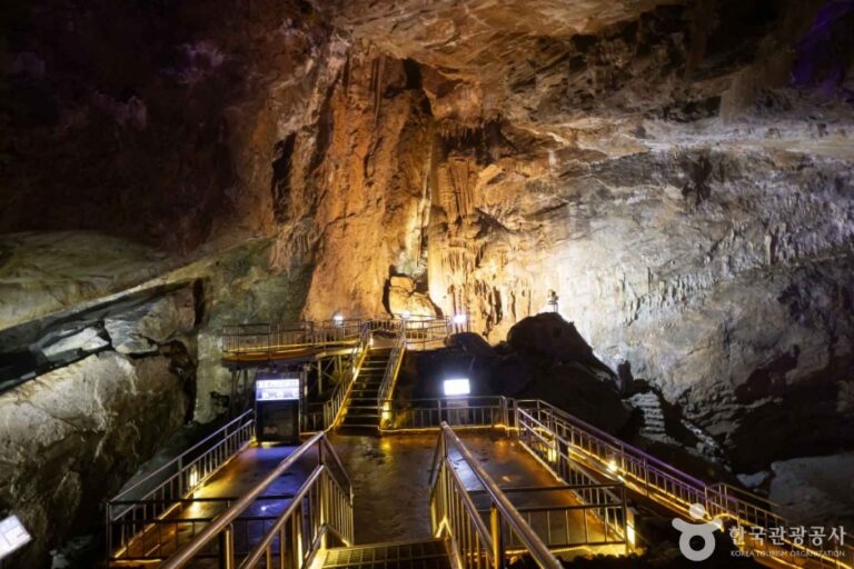 [예스키즈존] 화암동굴 (강원고생대 국가지질공원)