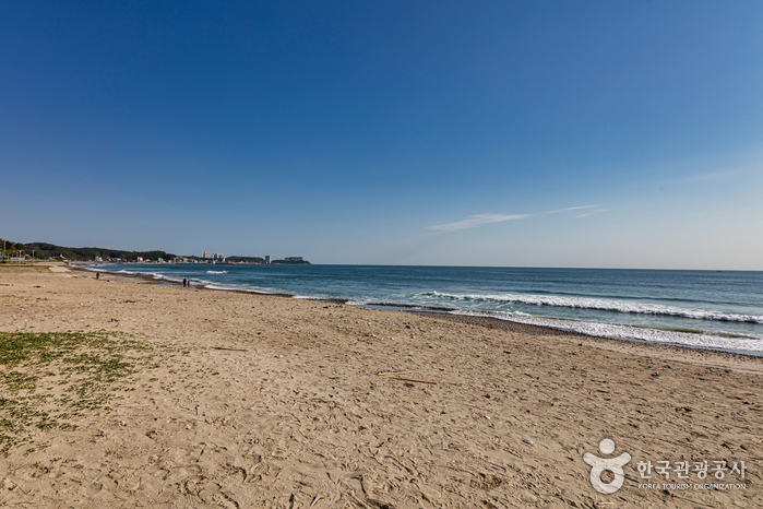 [예스키즈존] 정암해수욕장