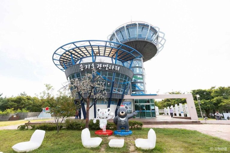 [예스키즈존] 송지호관망타워