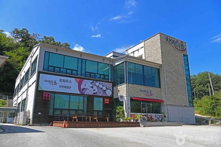 [예스키즈존] 차맛체험관