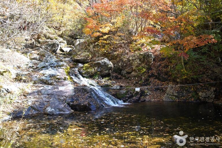 [예스키즈존] 국립 복주산자연휴양림