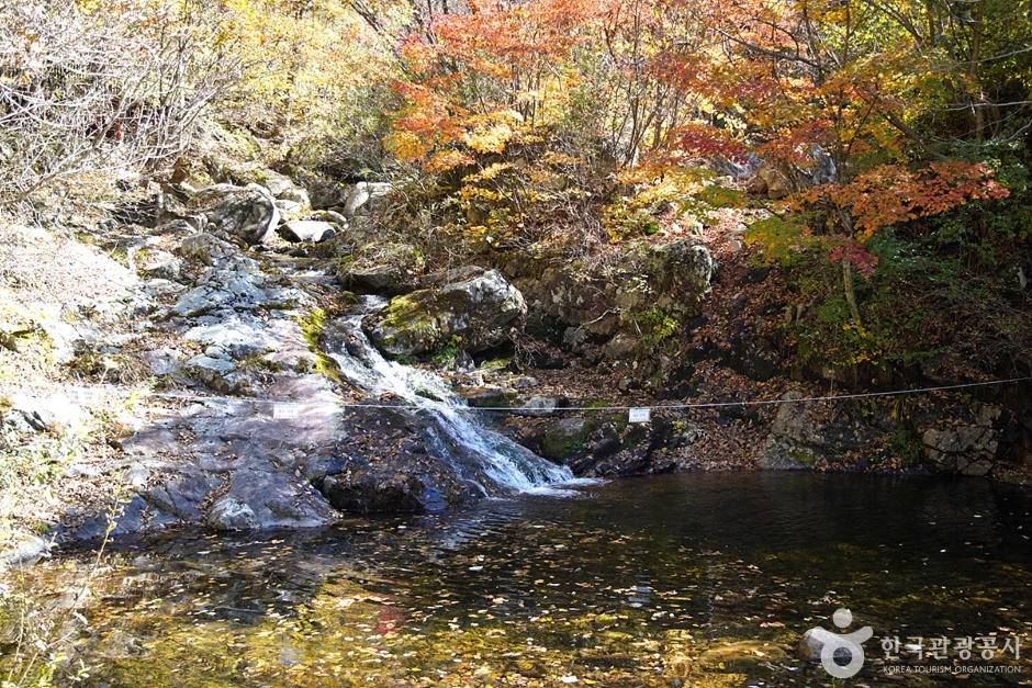 yeskids 1776550292 671 예스키즈존 탐험대 : 실패 없는 육아여행