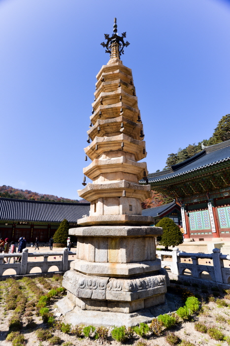 [예스키즈존] 월정사 팔각구층석탑