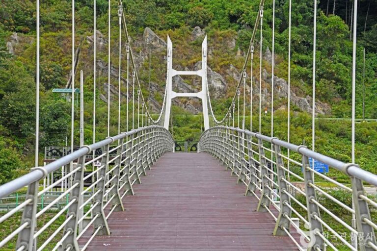 [예스키즈존] 강촌 출렁다리공원