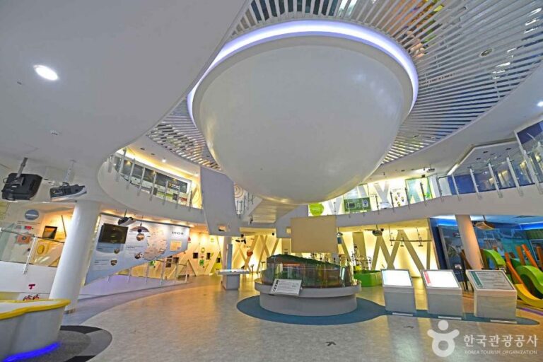 [예스키즈존] 양양 에너지팜