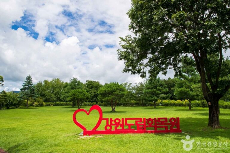 [예스키즈존] 강원특별자치도립화목원