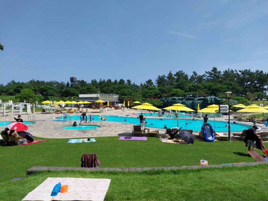 yeskids 1776550603 329 예스키즈존 탐험대 : 실패 없는 육아여행