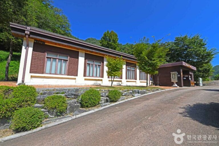 [예스키즈존] 강원특별자치도 탄광문화촌