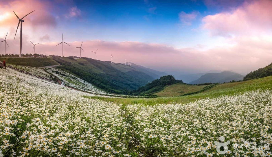 yeskids 1776550865 951 예스키즈존 탐험대 : 실패 없는 육아여행