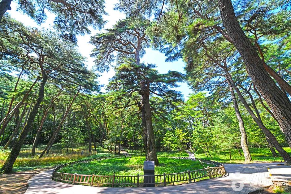 yeskids 1776550928 283 예스키즈존 탐험대 : 실패 없는 육아여행