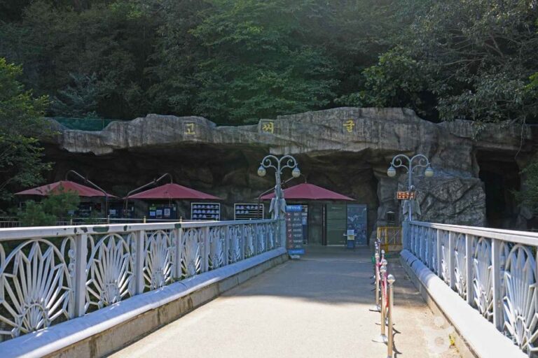 [예스키즈존] 고씨굴 (강원고생대 국가지질공원)