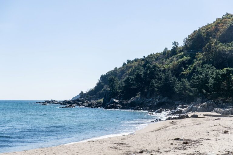 [예스키즈존] 명파해변