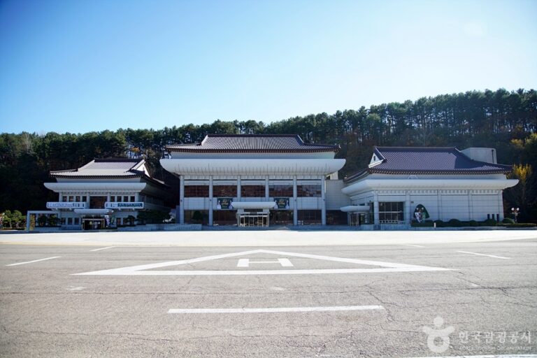 [예스키즈존] 삼척문화예술회관