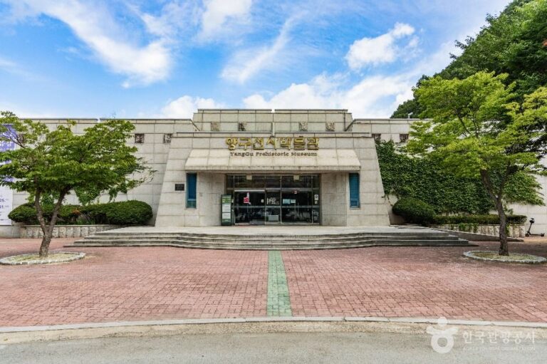 [예스키즈존] 양구선사근현대사박물관