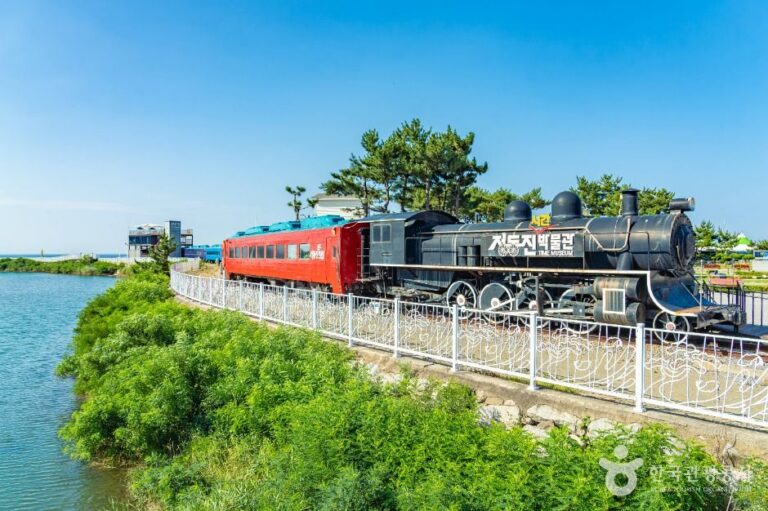 [예스키즈존] 정동진시간박물관