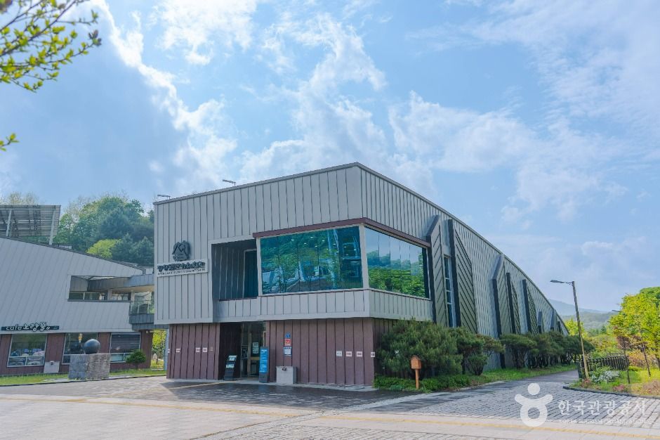 yeskids 1776630457 490 예스키즈존 탐험대 : 실패 없는 육아여행