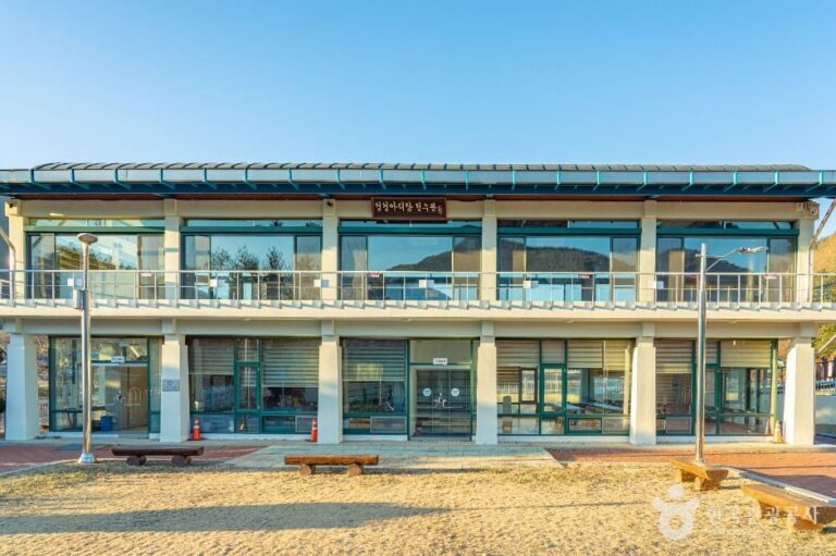 [예스키즈존] 정선아리랑 전수관