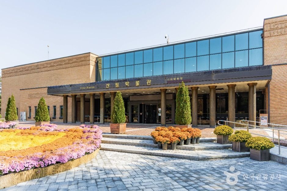 yeskids 1776630931 465 예스키즈존 탐험대 : 실패 없는 육아여행