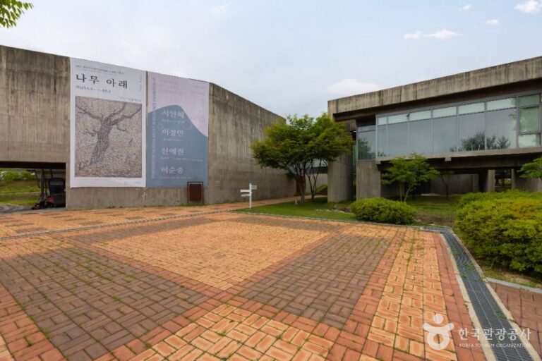 [예스키즈존] 박수근미술관