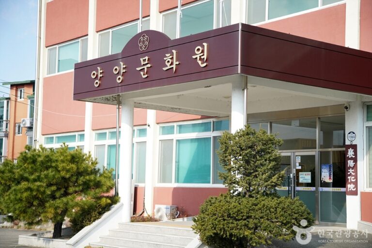 [예스키즈존] 양양문화원