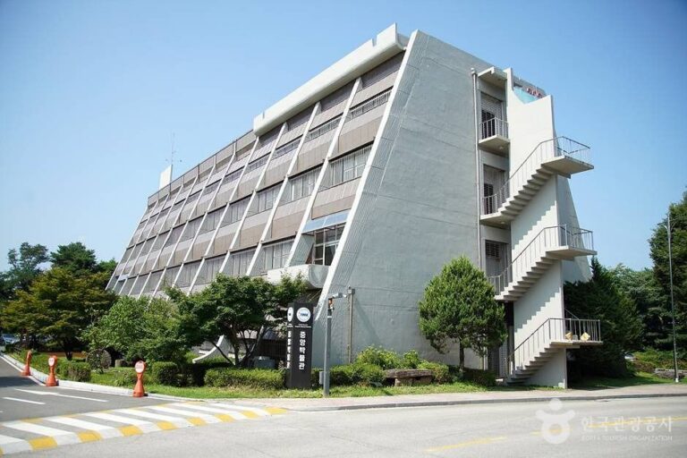 [예스키즈존] 강원대학교중앙박물관