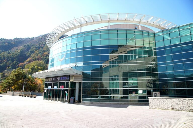 [예스키즈존] 인제 하늘내린센터