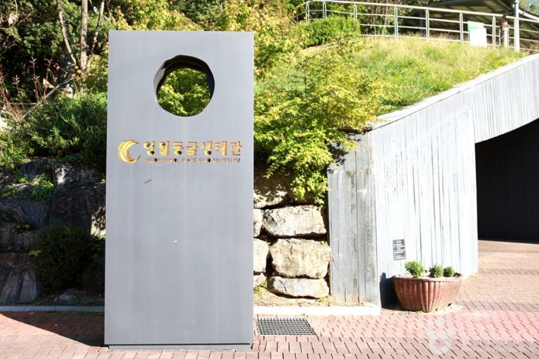 [예스키즈존] 영월 동굴생태관