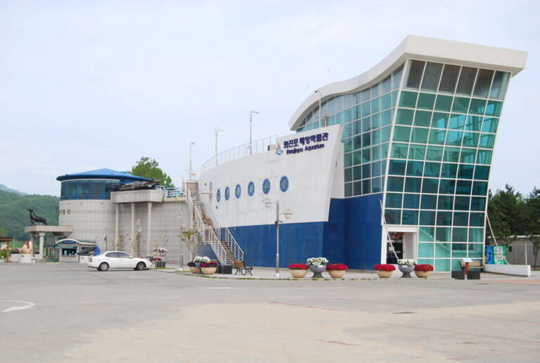 [예스키즈존] 화진포해양박물관