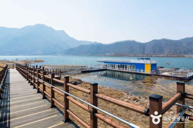 [예스키즈존] 킹카누 나루터