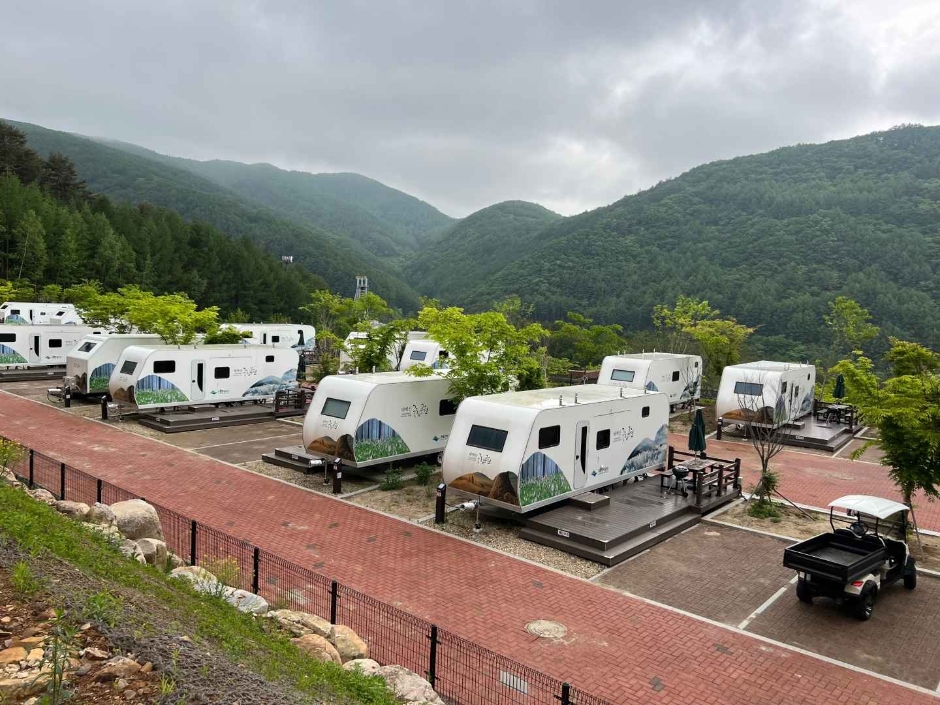 yeskids 1776632170 431 예스키즈존 탐험대 : 실패 없는 육아여행