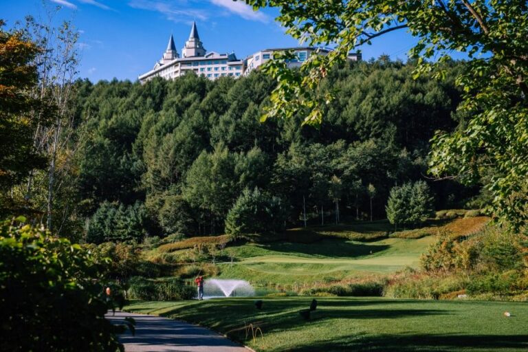 [예스키즈존] 하이원 컨트리클럽