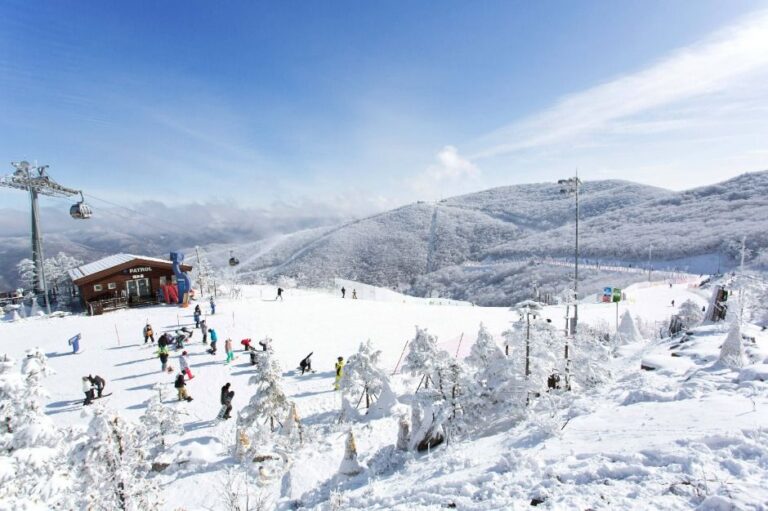 [예스키즈존] 하이원리조트 스키장