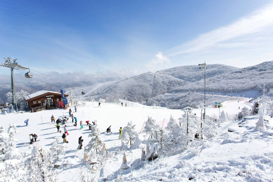 yeskids 1776632364 720 예스키즈존 탐험대 : 실패 없는 육아여행