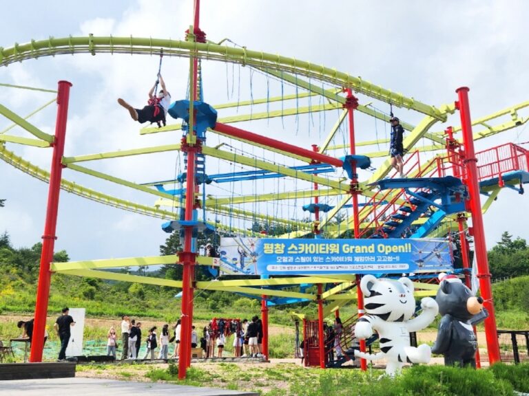 [예스키즈존] 평창군 스카이 타워 체험시설